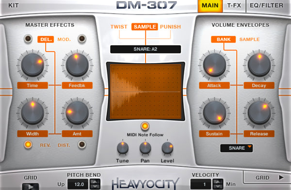 DM-307
