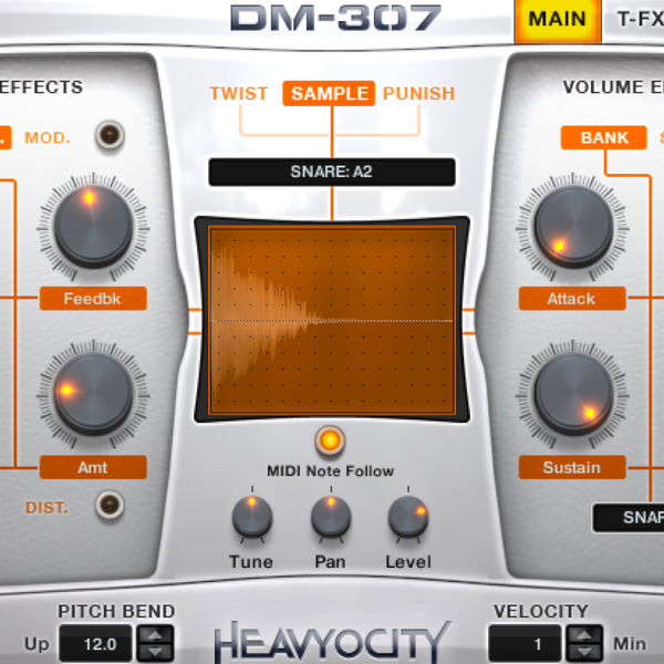 DM-307