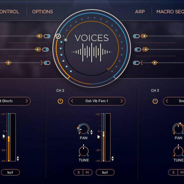 Mosaic Voices
