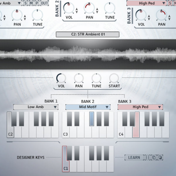 Synthetic Strings