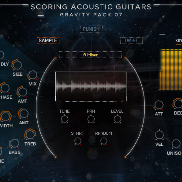 Scoring Acoustic Guitars