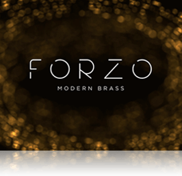 FORZO Overview