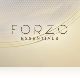 FORZO Essentials Overview
