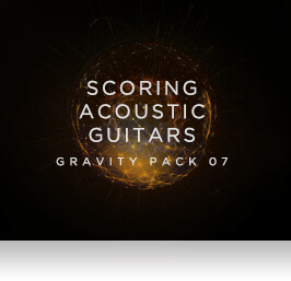 Scoring Acoustic Guitars Overview