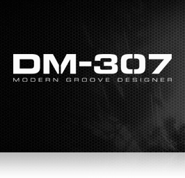DM307
