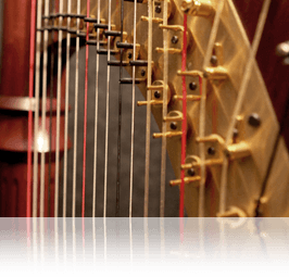 Organic Instruments