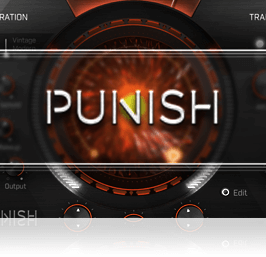 PUNISH Overview